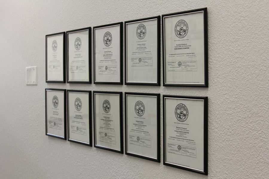 Recorrido por la oficina - Muro de diez licencias enmarcadas en negro